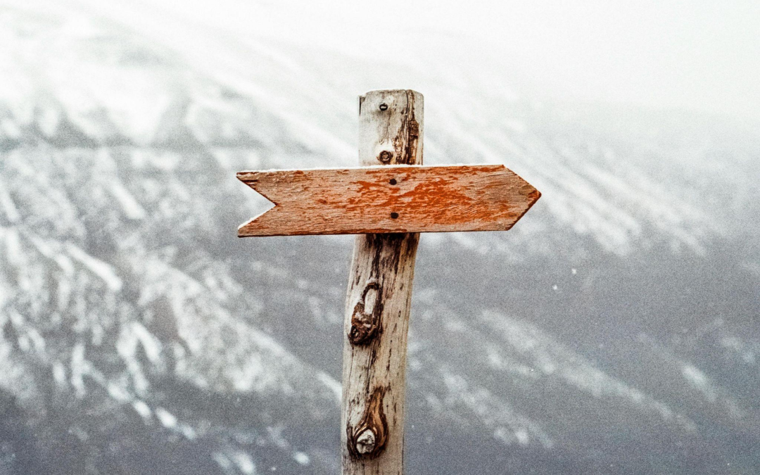 Signposting: How it helps, where it falls short, and why it matters